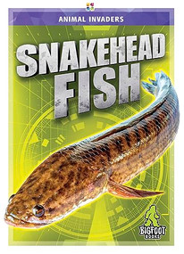 Snakehead Fish by Jody Jensen Shaffer, 9781645195177