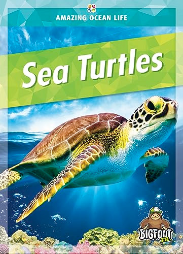 Sea Turtles - 9781645195658 by Colleen Sexton, 9781645195658