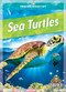 Sea Turtles - 9781645195658 by Colleen Sexton, 9781645195658