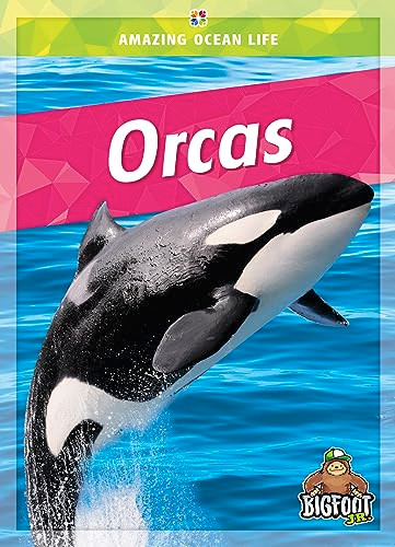 Orcas - 9781645197133 by Colleen Sexton, Colton Temple, 9781645197133