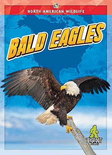 Bald Eagles - 9781645197225 by Joanne Mattern, 9781645197225