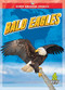 Bald Eagles - 9781645197225 by Joanne Mattern, 9781645197225
