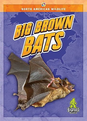 Big Brown Bats by Joanne Mattern, 9781645197232