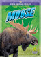 Moose - 9781645197270 by Jenny Mason, 9781645197270
