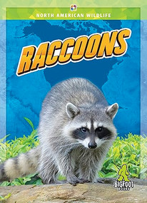 Raccoons - 9781645197287 by Joanne Mattern, 9781645197287