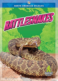 Rattlesnakes - 9781645197294 by Jenny Mason, 9781645197294