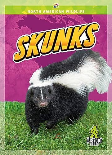 Skunks - 9781645197317 by Joanne Mattern, 9781645197317