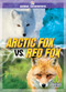 Arctic Fox vs. Red Fox by Cynthia O'Brien, 9781645197935