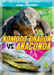 Komodo Dragon vs. Anaconda by Cynthia O'Brien, 9781645198000