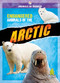 Endangered Animals of the Arctic by Cynthia O'Brien, 9781645198062