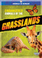 Endangered Animals of the Grasslands by Cynthia O'Brien, 9781645198086