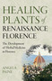 Healing Plants of Renaissance Florence (The Development of Herbal Medicine in Florence) by Angela Paine, 9781803413112