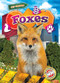 Foxes - 9798893042177 by Clare Koll, 9798893042177