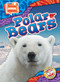 Polar Bears - 9798893042429 by Chris Bowman, 9798893042429