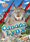 Canada Lynx - 9798893042528 by Shannon Anderson, 9798893042528