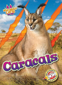 Caracals by Shannon Anderson, 9798893042535