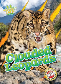 Clouded Leopards by Shannon Anderson, 9798893042542