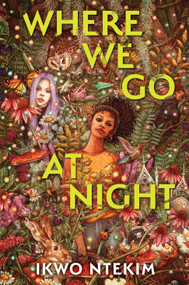 Where We Go at Night by Ikwo Ntekim, 9781335453853