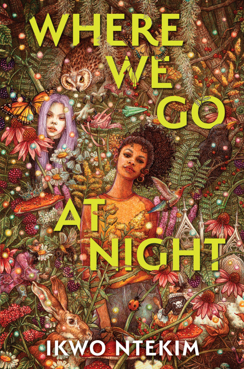 Where We Go at Night by Ikwo Ntekim, 9781335453853