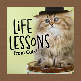 Life Lessons from Cats! by Grace Peterson, 9781497105591