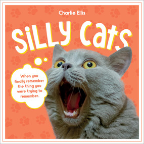 Silly Cats (A Ridiculous Collection of the World's Goofiest Cats and Most Relatable Memes) by Charlie Ellis, 9781837994069