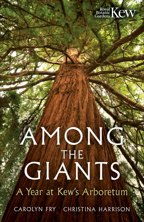 Among the Giants (Life in the Trees at Kew) by Carolyn Fry, Christina Harrison, 9781856755672