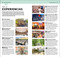 DK Berlin Guia Top 10 (DK Top 10 Berlin) by DK Travel, 9780241735701