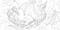 Dragons of the Realms (Dungeons & Dragons) (An Official Dungeons & Dragons Coloring Book) by Official Dungeons & Dragons Licensed, 9780593838181