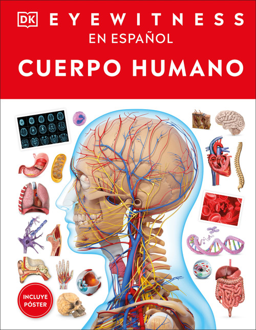 Eyewitness: Cuerpo humano (Human Body) (Spanish Edition) by DK, 9798217130047
