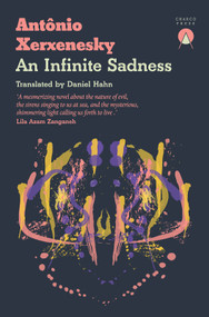 An Infinite Sadness by Antônio Xerxenesky, Daniel Hahn, 9781917260121