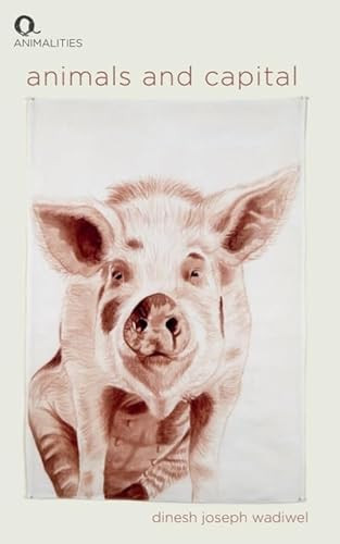 Animals and Capital by Dinesh Joseph Wadiwel, 9781399518079