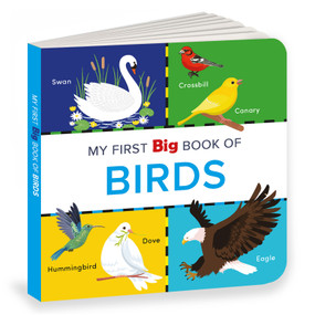 My First Big Book of Birds (Illustrated Board Book of Birds for PreSchool Kids, Toddlers | Book for 1+ [Penguin Early Learning Series]) by Penguin Books, 9789815127485