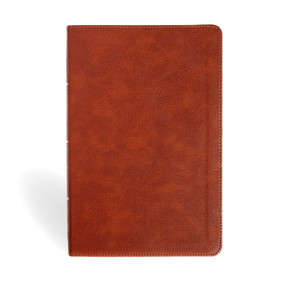 NASB Personal Size Giant Print Bible, Burnt Sienna LeatherTouch by Holman Bible Publishers, 9798384532033