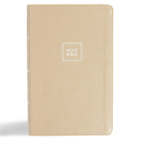 KJV Single-Column Personal Size Bible, Gold LeatherTouch by Holman Bible Publishers, 9798384533566