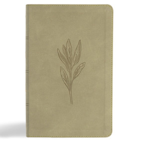 KJV Single-Column Personal Size Bible, Sage SuedeSoft LeatherTouch by Holman Bible Publishers, 9798384533573
