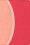 CSB Rainbow Study Bible, Pink LeatherTouch (Limited Edition) by CSB Bibles by Holman, 9798384534228