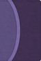 CSB Rainbow Study Bible, Purple LeatherTouch (Limited Edition) by CSB Bibles by Holman, 9798384534235