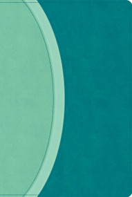 CSB Rainbow Study Bible, Teal LeatherTouch (Limited Edition) by CSB Bibles by Holman, 9798384534242