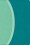 CSB Rainbow Study Bible, Teal LeatherTouch (Limited Edition) by CSB Bibles by Holman, 9798384534242