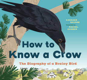 How to Know a Crow (The Biography of a Brainy Bird) - 9781778403354 by Candace Savage, Rachel Hudson