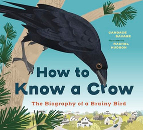 How to Know a Crow (The Biography of a Brainy Bird) - 9781778403354 by Candace Savage, Rachel Hudson, 9781778403354