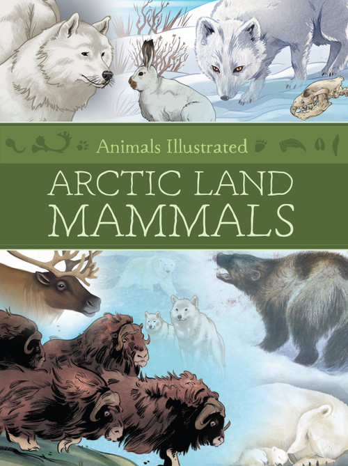 Animals Illustrated: Arctic Land Mammals by Inhabit Media, 9781772275858