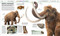 Knowledge Encyclopedia Dinosaur! by DK, 9780593972151