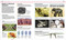 Knowledge Encyclopedia Dinosaur! by DK, 9780593972151