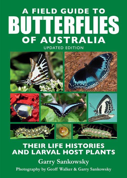 A Field Guide to Butterflies of Australia (Their Life Histories and Larval Host Plants) - 9781760796884 by Garry Sankowsky, 9781760796884