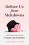 Deliver Us from Meltdowns (And Other Real-World Prayers for Parents) by Janel Breitenstein, 9798881602369