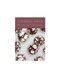 Williams Sonoma Cookies Recipe Deck (50 Recipe Cards for Cookies & Bars at Your Fingertips) by Williams-Sonoma, Insight Editions, 9798886742855