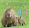 ZooBorns! When I'm Big by Andrew Bleiman, Chris Eastland, 9781665956000