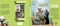 The Great Puppypalooza by Emily Ecton, David Mottram, 9781665966467