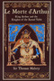 Le Morte d'Arthur (King Arthur and the Knights of the Round Table) by Thomas Malory, Stephanie Lynn Budin, 9781667211527